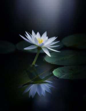 Reflection