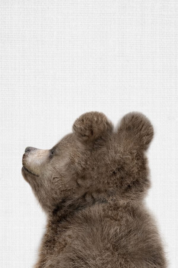 Peekaboo Baby Bear Back