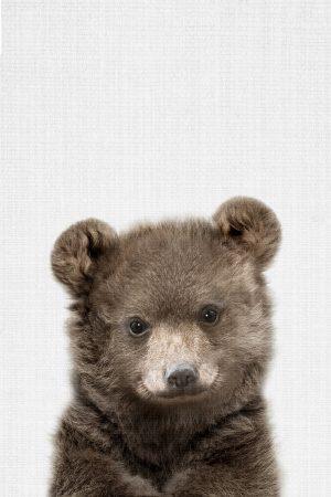 Peekaboo Baby Bear