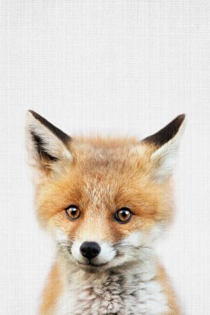 Peekaboo Baby Fox