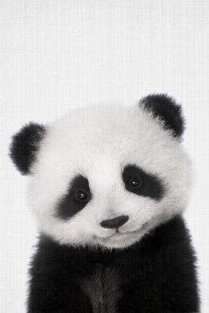 Peekaboo Baby Panda
