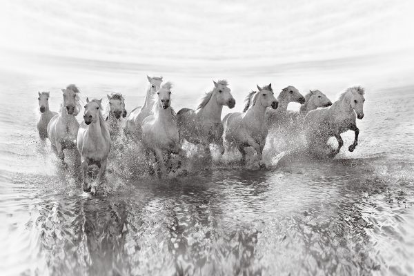 Illusion of power (13 horse power though)