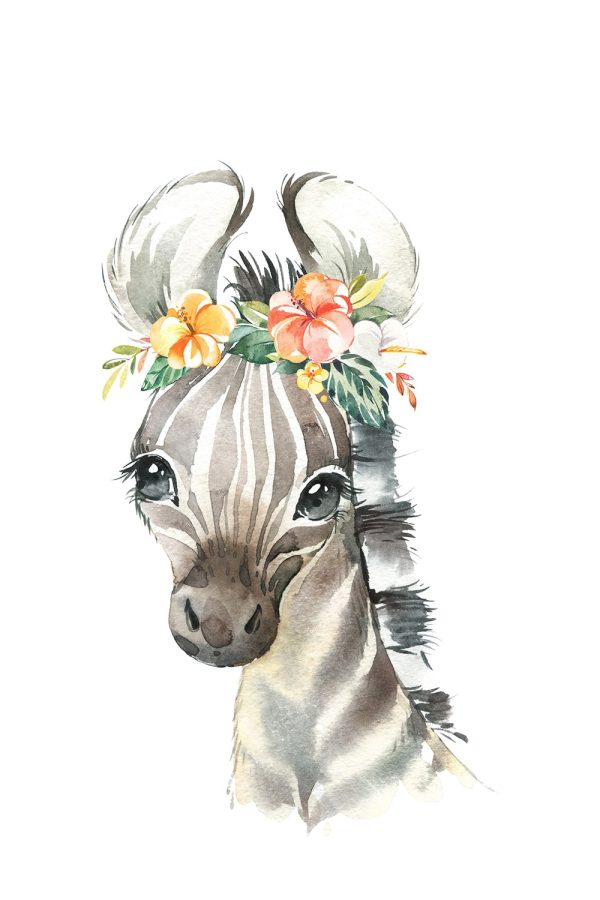Wild Animal Flowers Zebra