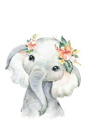 Wild Animal Flowers Elephant
