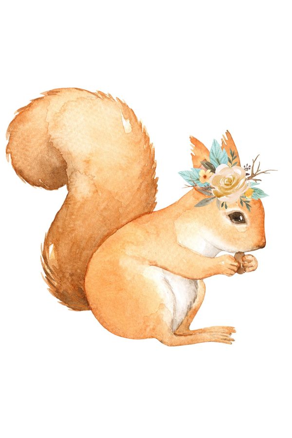 Woodland Flower Squirrel
