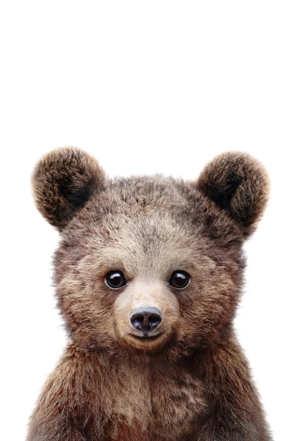 Peekaboo Brown Bear