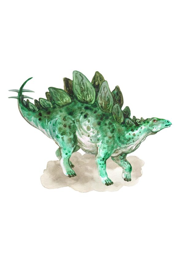 Stegosaurus