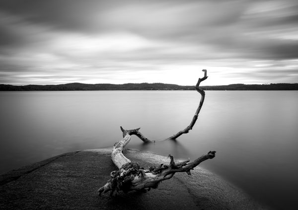 Branch long exposure lake