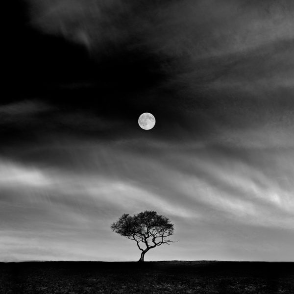 Stories under the Moon (No.5)