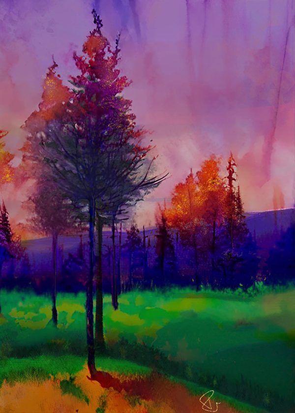 Trees at Sunset