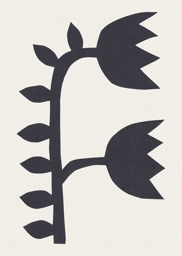 Black Tulips #1