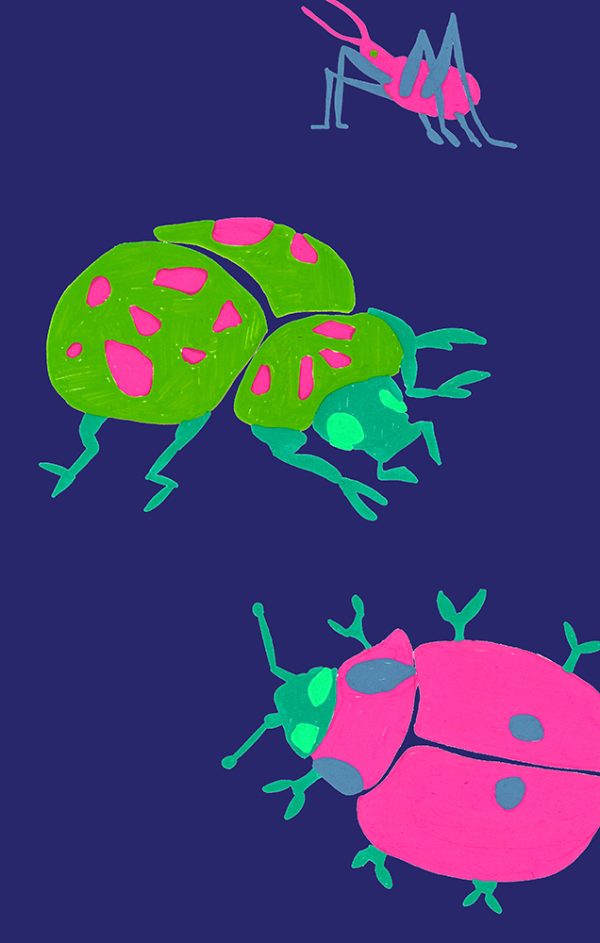 Midnight Ladybugs
