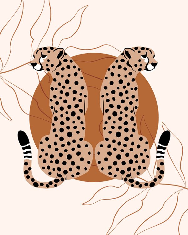 Cheetah