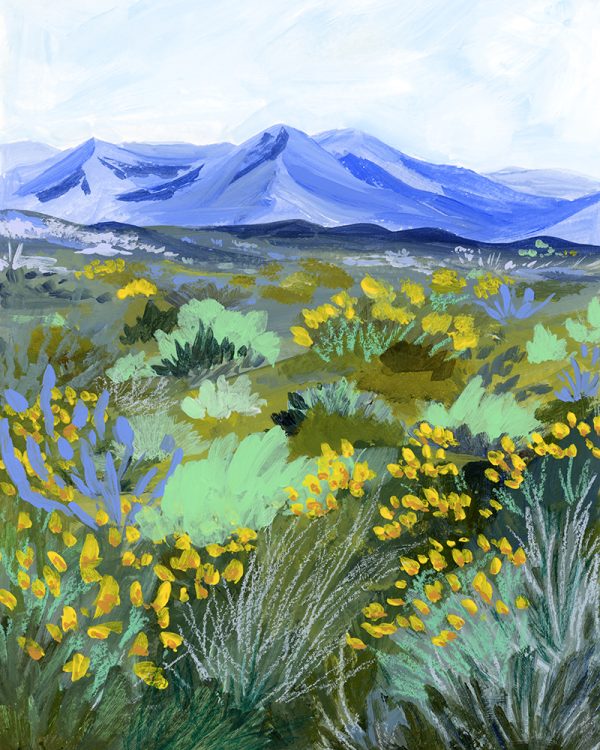 Blue Valley