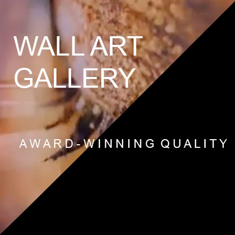 Wall Art Gallery