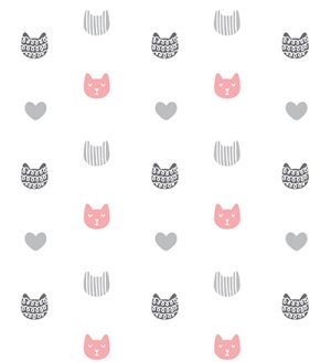 Baby cats