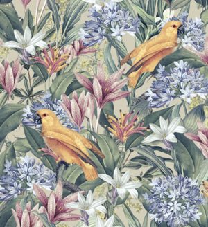 Parrots