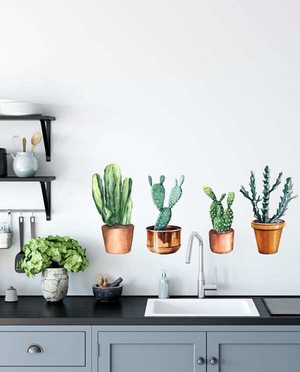 Cactus Pots
