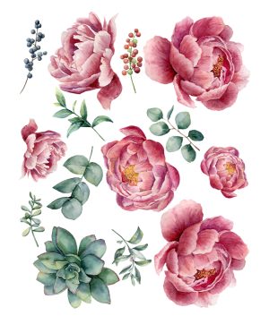 Pink peonies M