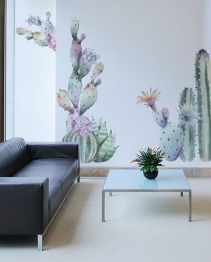 Big Cactus Plants