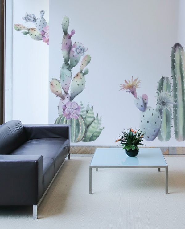 Big Cactus Plants