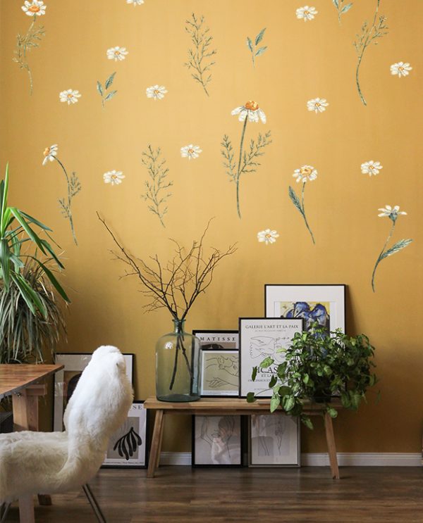 Daisies